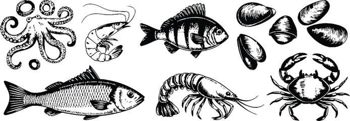 Fototapeta premium Octopus shrimp fish crab mussels vector