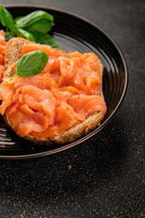 sandwich salmon smoked fish open sandwich delicious fresh portion size natural product tasty snack fresh delicious gourmet food background on the table rustic top view copy space pescetarian diet