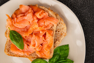 sandwich salmon smoked fish open sandwich delicious fresh portion size natural product tasty snack fresh delicious gourmet food background on the table rustic top view copy space pescetarian diet