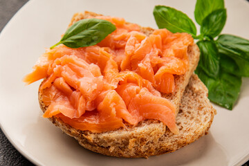 sandwich salmon smoked fish open sandwich delicious fresh portion size natural product tasty snack fresh delicious gourmet food background on the table rustic top view copy space pescetarian diet