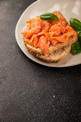 sandwich salmon smoked fish open sandwich delicious fresh portion size natural product tasty snack fresh delicious gourmet food background on the table rustic top view copy space pescetarian diet