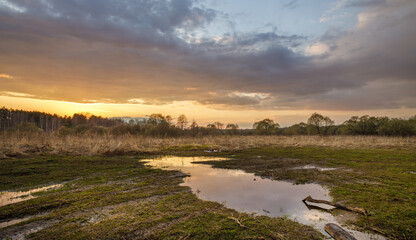 Field with a pond in the middle and a cloudy sky