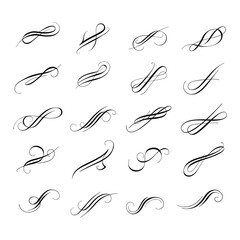 Decorative Swirl Ornament. Elegant Floral Decoration Set