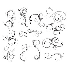 Decorative Swirl Ornament. Elegant Floral Decoration Set