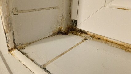 Obraz premium Mold and dirt in a corner of a window.