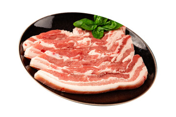 Bacon slice lard with meat slices pieces pork tenderloin portion size natural product tasty snack fresh delicious gourmet food background on the table rustic top view copy space