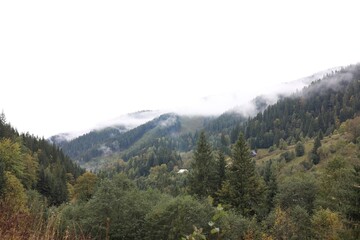 Obraz premium Picturesque view of mountains, forest and fog on cloudy day