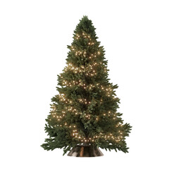 Christmas tree with lights on a transparent background.