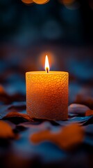 Illuminated Candle with Textured Surface and Warm Glow on Dark Background Surrounded by Leaves