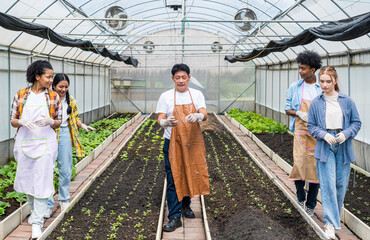 Agricultural students are studying about organic vegetable farming.