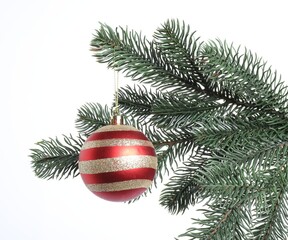 Christmas tree branch with decorative ball on white background