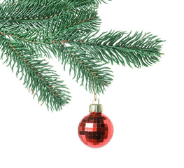 Christmas tree branch with decorative ball isolated on white