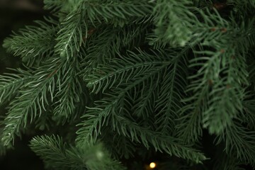 Branches of artificial Christmas tree as background, closeup