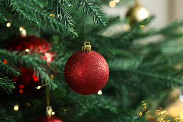 Red bauble hanging on fir tree branch, closeup. Christmas greeting card