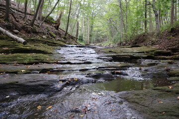Obraz premium A view of a cascading brook in a green forest looking upstream.