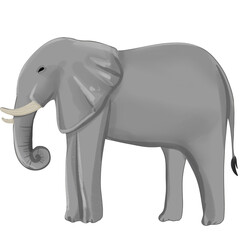 Handdrawn Four Legged Animals Elephant Illustration