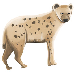 Handdrawn Four Legged Animals Hyena Illustration