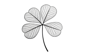 Three leaf clover with intricate pattern isolated on transparent background
