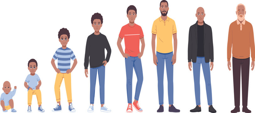 PrintMale life stages illustration, baby to elderly, age progression, character design, human growth, diverse ages, cartoon style, educational vector