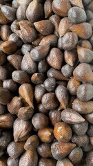 Salmon Eggs with Dark Brown and Gray Skin in Bulk at Market