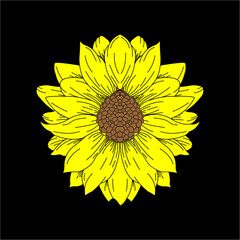 wonderful sun flower design vector
