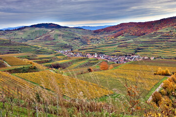 Naklejka premium Blick auf Oberbergen im Kaiserstuhl im Herbst