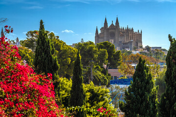 Fototapety na wymiar - Fototapeta24.pl