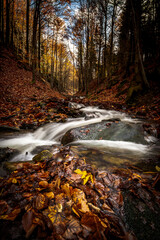 Wijący sie strumyk g&oacute;rski 