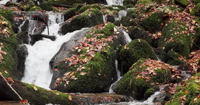 Majestic Autumn Waterfall in Stunning 4K DCI Quality