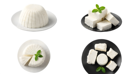 Collection of fresh white cheese servings including ricotta and feta blocks isolated on white background