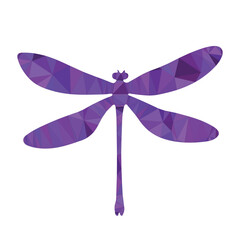 Vibrant purple geometric dragonfly illustration, a stylized insect design with polygonal texture for elegant visual concepts