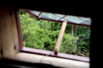 Inside a very old ship with the window propped open, with trees outside