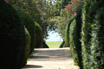 Pathway leading to a lake