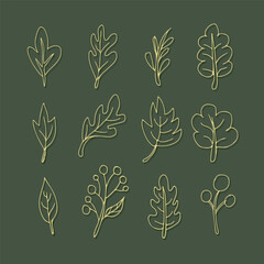 Hand-drawn botanical line art leaves and branches collection, versatile vector graphic design elements