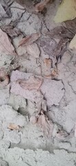 Fototapeta premium dusty cracked surface with dried leaves and debris, earth texture, natural environmen