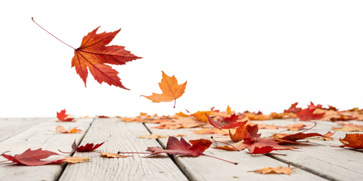 Red and orange autumn maple leaves are gently falling onto a light wooden surface, isolated against a transparent background for easy use. - Powered by Adobe