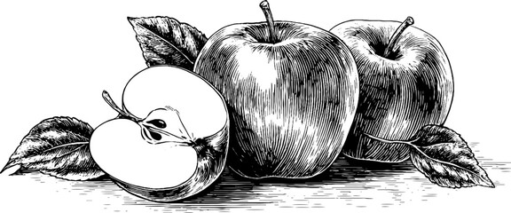 Vintage apple composition with slice and geometric sun rays for design