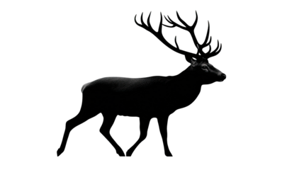 Majestic Silhouette of a Stag: The stark contrast of the stag's form against the backdrop creates a sense of primal strength and wilderness. 