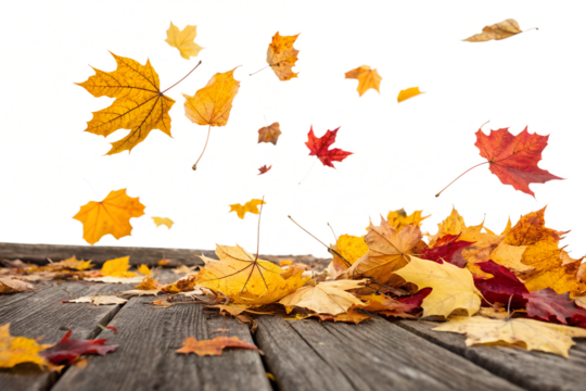 Vibrant autumn leaves in rich shades of red, orange, and yellow are actively falling and gracefully scattering to form a beautiful pile.