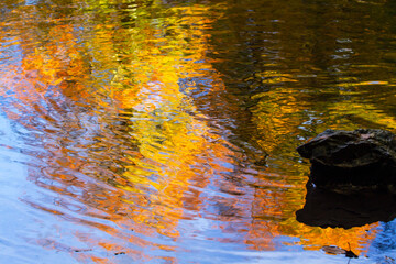 Surrealist color riot on the lake