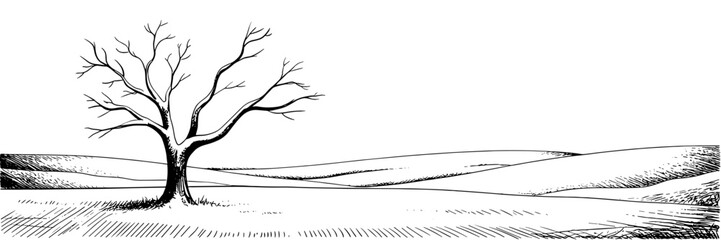 a single leafless tree standing in an open field with gentle rolling hills.