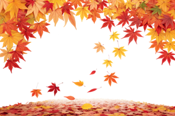 Vibrant autumn maple leaves fall, forming a beautiful frame and soft ground pile, isolated on a clean transparent background.
