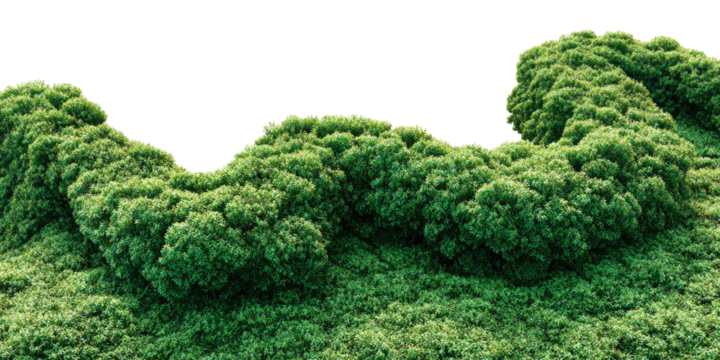 A densely packed formation of verdant vegetation, exhibiting a textured surface against a black backdrop