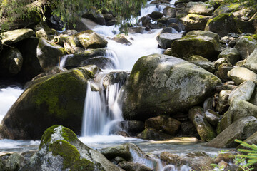 Kleiner Wasserfall in einem Gebirgsbach mit moosbewachsenen Felsen