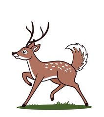 deer vector illustration