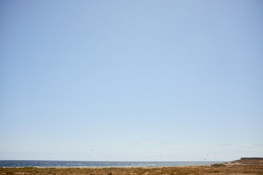 Panoramic view of bushy coast of Atlantic Ocean: cloudless blue sky hovering over water surface with waves, gulls flying low in search of fish