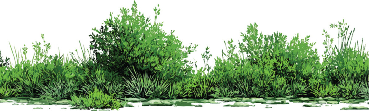 Contour of tall coniferous trees, set of beautiful Bushes and Shrubs Vector Set &ndash; Realistic Green Plants and Grass Isolated for Landscape Design Illustration on transparent background