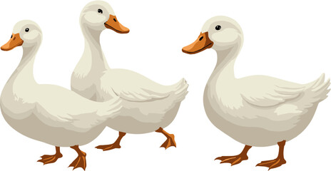 A friendly cartoon illustration of two white ducks walking side by side, representing nature, wildlife, companionship, and outdoor themes, perfect for children&rsquo;s artwork, educational materials, and ch