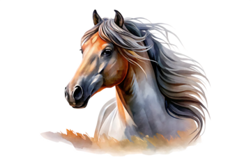 Artistic Horse Head Portrait with Abstract Base equine animal isolated on a transparent background