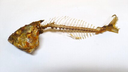 Fried fish bones on a white background. Food scraps. Unique shape of a whole head with eyes, lips, and bones in the body. Art food photography idea. Close up. Selective focus. Copy space.